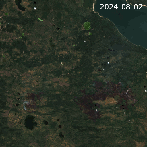 Forest fires from a satellite image.